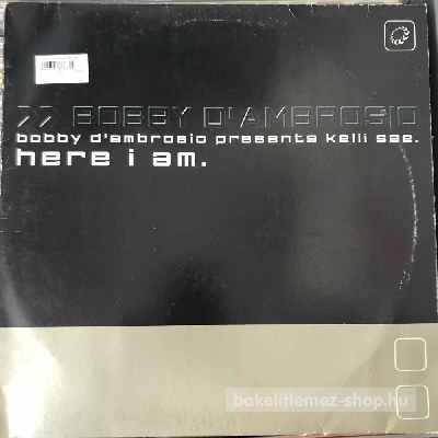 Bobby D Ambrosio Presents Kelli Sae - Here I Am  (12") (vinyl) bakelit lemez