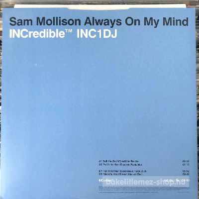 Sam Mollison - Always On My Mind  (12") (vinyl) bakelit lemez