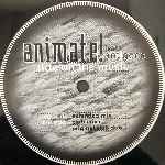 Animate! Feat. Antigone  Ride On The Music  (12")