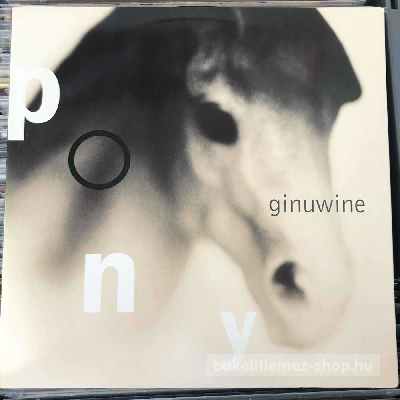 Ginuwine - Pony  (12") (vinyl) bakelit lemez