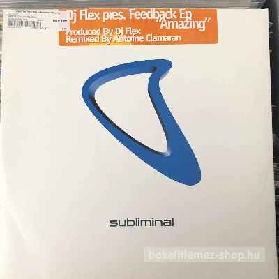 DJ Flex - Feedback EP  (12", EP) (vinyl) bakelit lemez