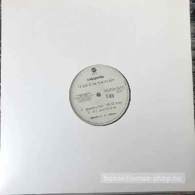 Cappella - U Got 2 Let The Music  (2 x 12", Promo) (vinyl) bakelit lemez