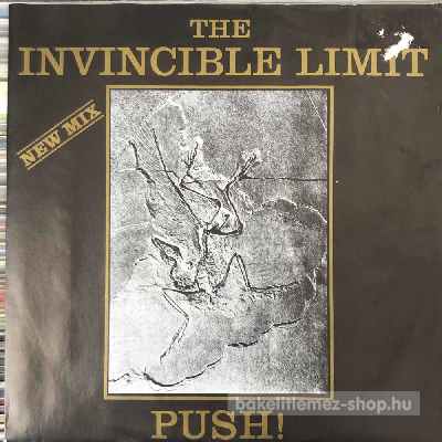 The Invincible Limit - Push! (New Mix)  (7", Single) (vinyl) bakelit lemez