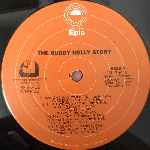 Gary Busey  The Buddy Holly Story  (LP, Album)