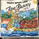 Jive Bunny And The Mastermixers - Thats What I Like