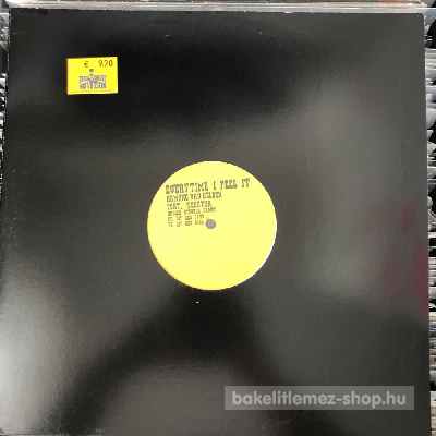 Armand Van Helden Feat. Teketha - Everytime I Feel It  (12", Promo) (vinyl) bakelit lemez