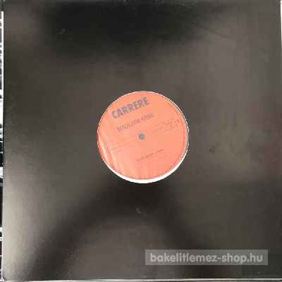 Madleen Kane - Forbidden Love  (12", Maxi) (vinyl) bakelit lemez