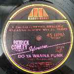 Patrick Cowley Featuring Sylvester  Do Ya Wanna Funk  (12")