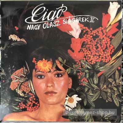 Various Nagy Olasz Slágerek II. (LP, Comp) (vinyl) bakelit lemez Various - Nagy Olasz Slágerek II. (LP, Comp) (vinyl) bakelit lemez