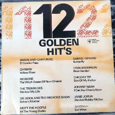 Various - 12 Golden Hits  (LP, Comp) (vinyl) bakelit lemez