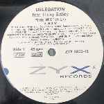 Delegation Feat. Ricky Bailey  The Mix  (12")