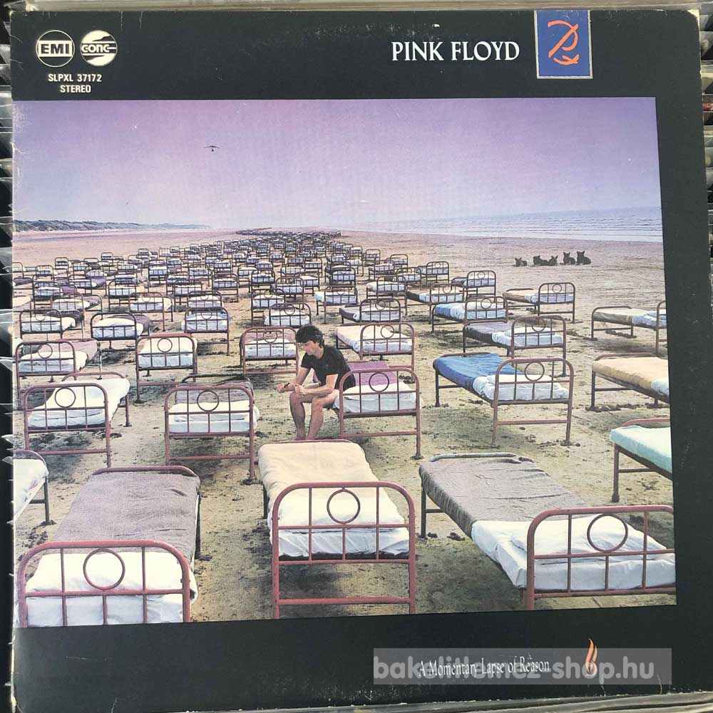 Pink Floyd - A Momentary Lapse Of Reason