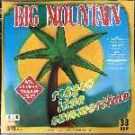 Big Mountain  Reggae Inna Summertime  (12", Maxi)