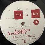 Carleen Anderson  Let It Last, Apparently Nothin  (12")