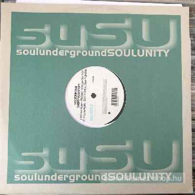 Solsonik feat Sabrynaah Pope - In Love Again  (12") (vinyl) bakelit lemez