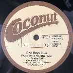Bad Boys Blue  I Wanna Hear Your Heartbeat, Sunday Girl  (12", Maxi)
