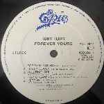 Tony Terry Forever Yours (LP, Album) Tony Terry Forever Yours (LP, Album)