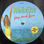 Pandera Joy And Fun (12", Maxi) Pandera Joy And Fun (12", Maxi)