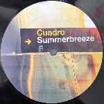 Cuadro Summerbreeze (12") Cuadro Summerbreeze (12")