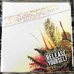 Various - Roger Sanchez Presents Release Yourself Vol. 5 Various - Roger Sanchez Presents Release Yourself Vol. 5