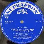 Tchaikovsky  Concerto In B Flat Minor  (LP, Album)