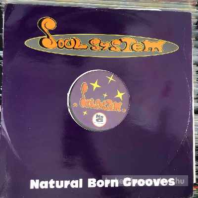 Natural Born Grooves Soulsystem (12") (vinyl) bakelit lemez Natural Born Grooves - Soulsystem (12") (vinyl) bakelit lemez