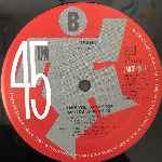 Tasha  Take You To The Top  (12")