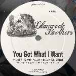 Glamrock Brothers  You Got What I Want  (12")