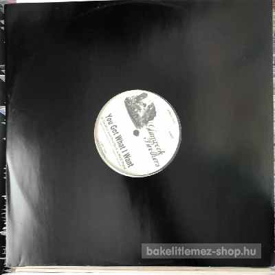 Glamrock Brothers - You Got What I Want  (12") (vinyl) bakelit lemez