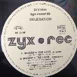 Delegation  Where s The Love (We Used To Know)  (12", Maxi)