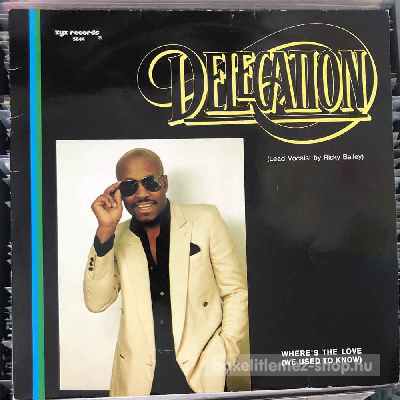 Delegation - Where s The Love (We Used To Know)  (12", Maxi) (vinyl) bakelit lemez