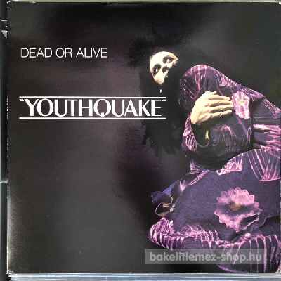 Dead Or Alive - Youthquake  (LP, Album) (vinyl) bakelit lemez
