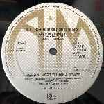 Herb Alpert Tijuana Brass  Bullish  (12")