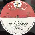 Den Harrow  Catch The Fox (Caccia Alla Volpe)  (12", Maxi)