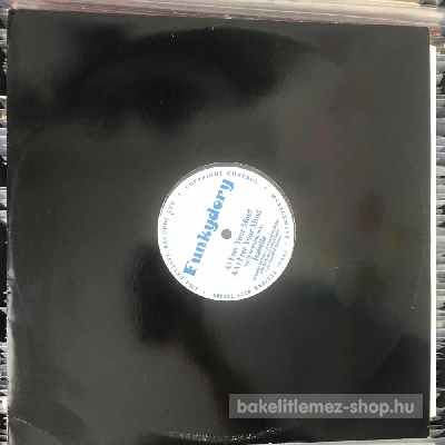 Funkydory - Free Your Mind - Isabelle  (12") (vinyl) bakelit lemez