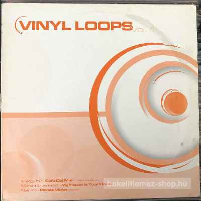 Various - Vinyl Loops Vol. 1  (12", Comp) (vinyl) bakelit lemez