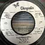 Paul Hardcastle  19  (7", Single)