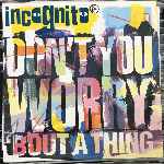 Incognito - Dont You Worry Bout A Thing