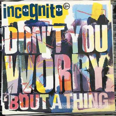 Incognito - Dont You Worry Bout A Thing  (12") (vinyl) bakelit lemez