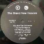 The Brand New Heavies  You Are The Universe  (12", Promo)