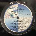 Rozalla  Are You Ready To Fly  (12")