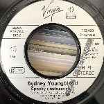 Sydney Youngblood  If Only I Could  (7", Single)