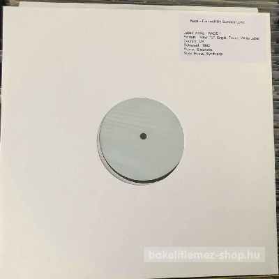 Kaos - Farewell My Summer Love  (12", Promo) (vinyl) bakelit lemez