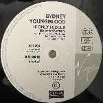 Sydney Youngblood  If Only I Could  (12", Single)
