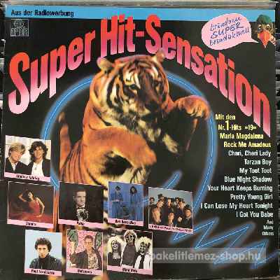 Various - Super Hit-Sensation  (LP, Comp) (vinyl) bakelit lemez