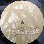 DJ Bo & Phat Butt Crew  Going Back To My Roots  (12", Promo)