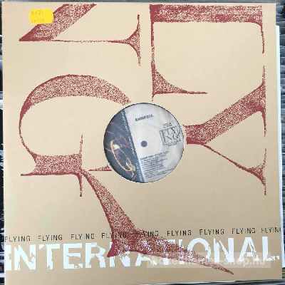 Amnesia - Drop The Stick  (12") (vinyl) bakelit lemez