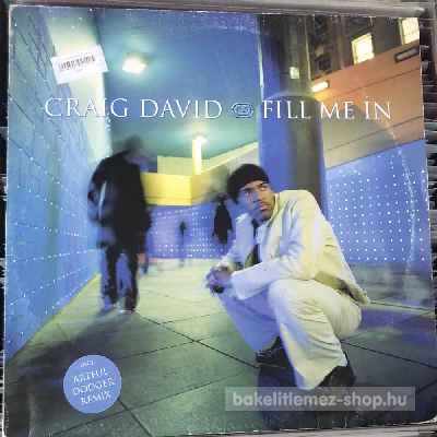Craig David - Fill Me In  (12") (vinyl) bakelit lemez
