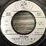 Den Harrow  Born To Love  (7", Single)