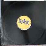 Mr. President  I Give You My Heart  (12")